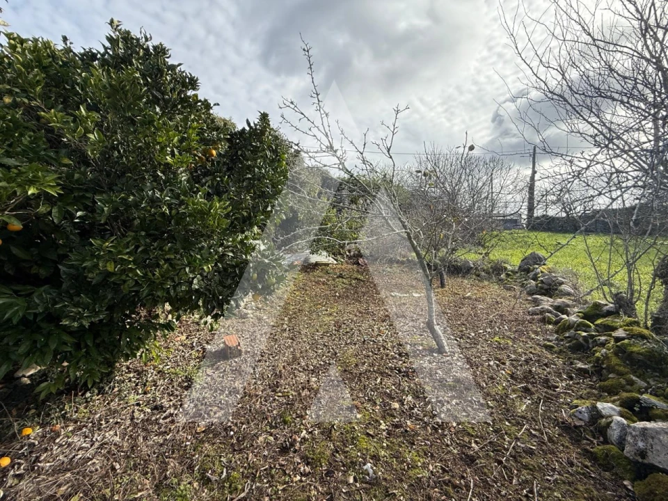 Moradia T2 para Venda em São Mamede Foto 20