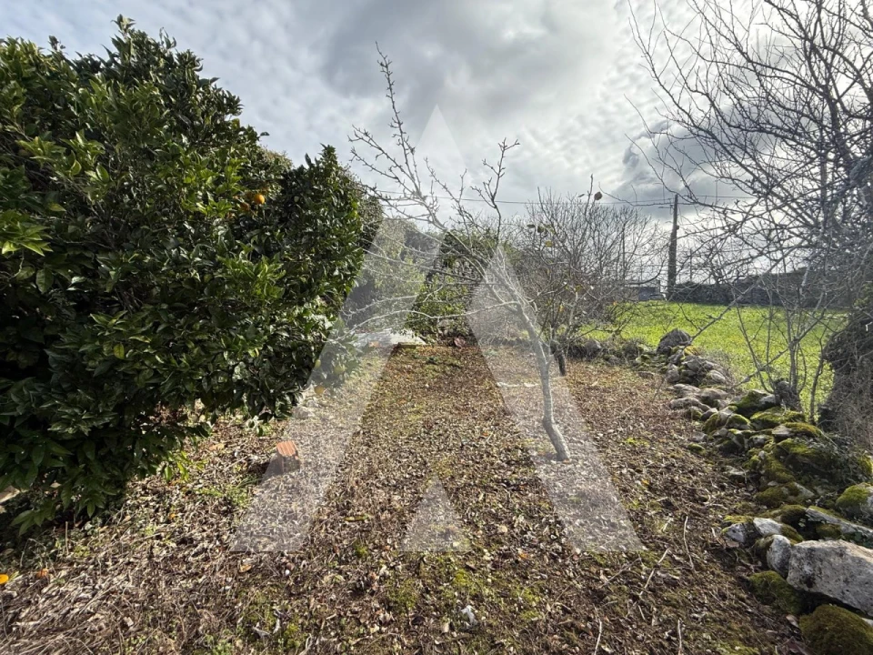 Moradia T2 para Venda em São Mamede Foto 34