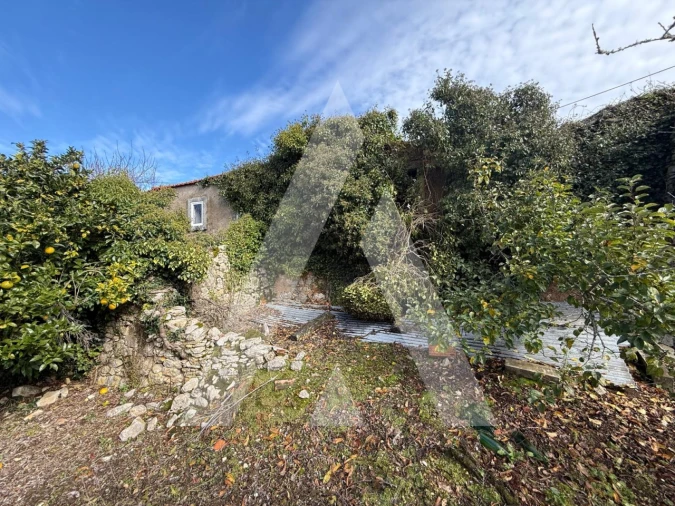 Moradia T2 para Venda em São Mamede Foto 37