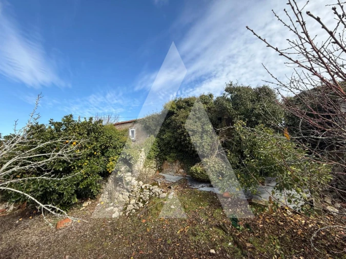 Moradia T2 para Venda em São Mamede Foto 40