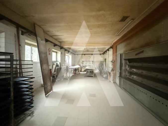 Negócio para Venda em São Vicente da Beira Foto 22