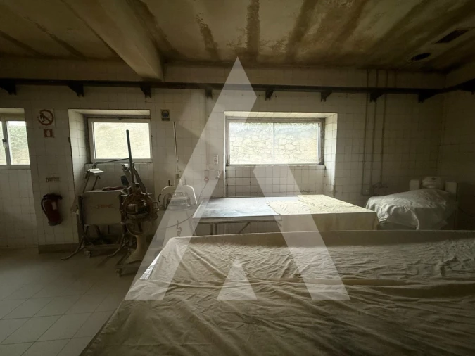 Negócio para Venda em São Vicente da Beira Foto 23