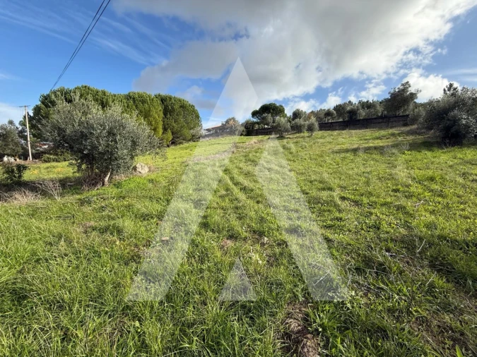 Terreno para Venda em Arrabal Foto 7