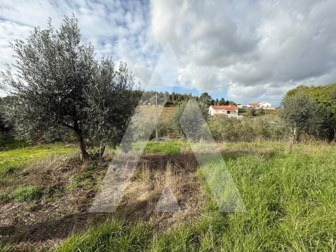 Terreno para Venda em Arrabal Foto 8