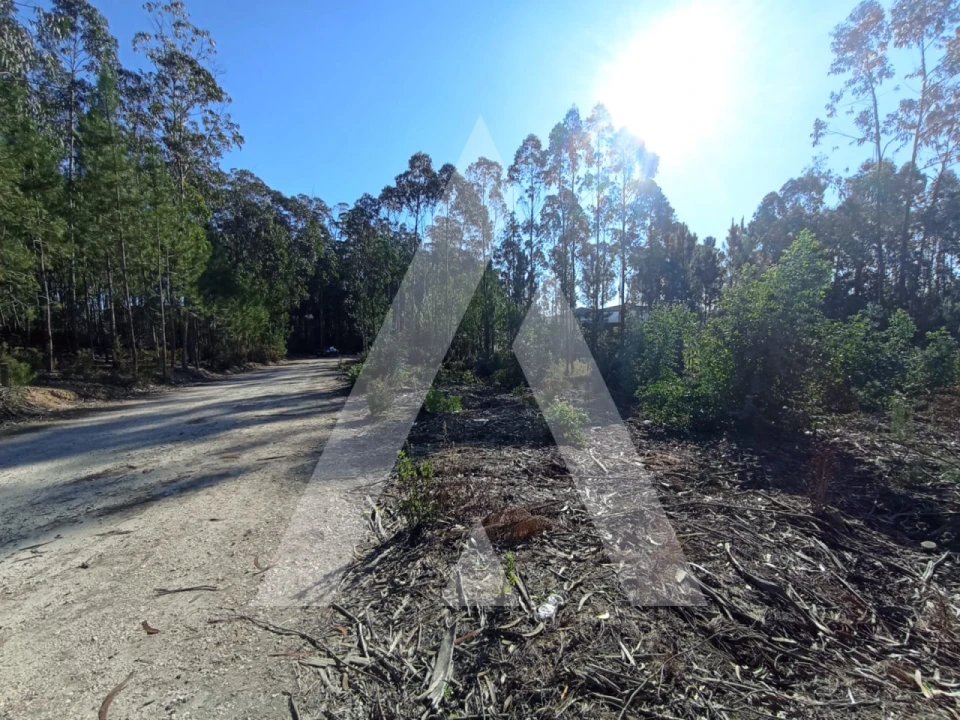 Terreno para Venda em Marrazes e Barosa Foto 3