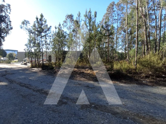 Terreno para Venda em Marrazes e Barosa Foto 4