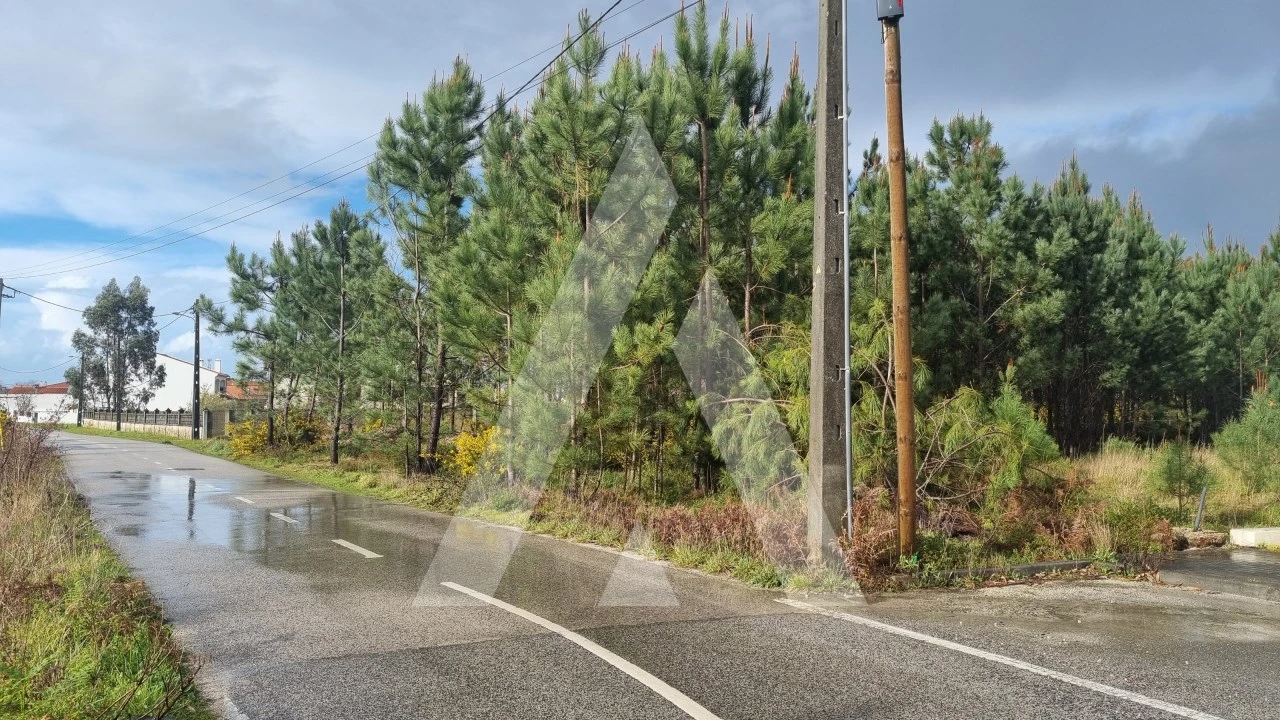 Terreno para Venda em Marinha Grande Foto 3