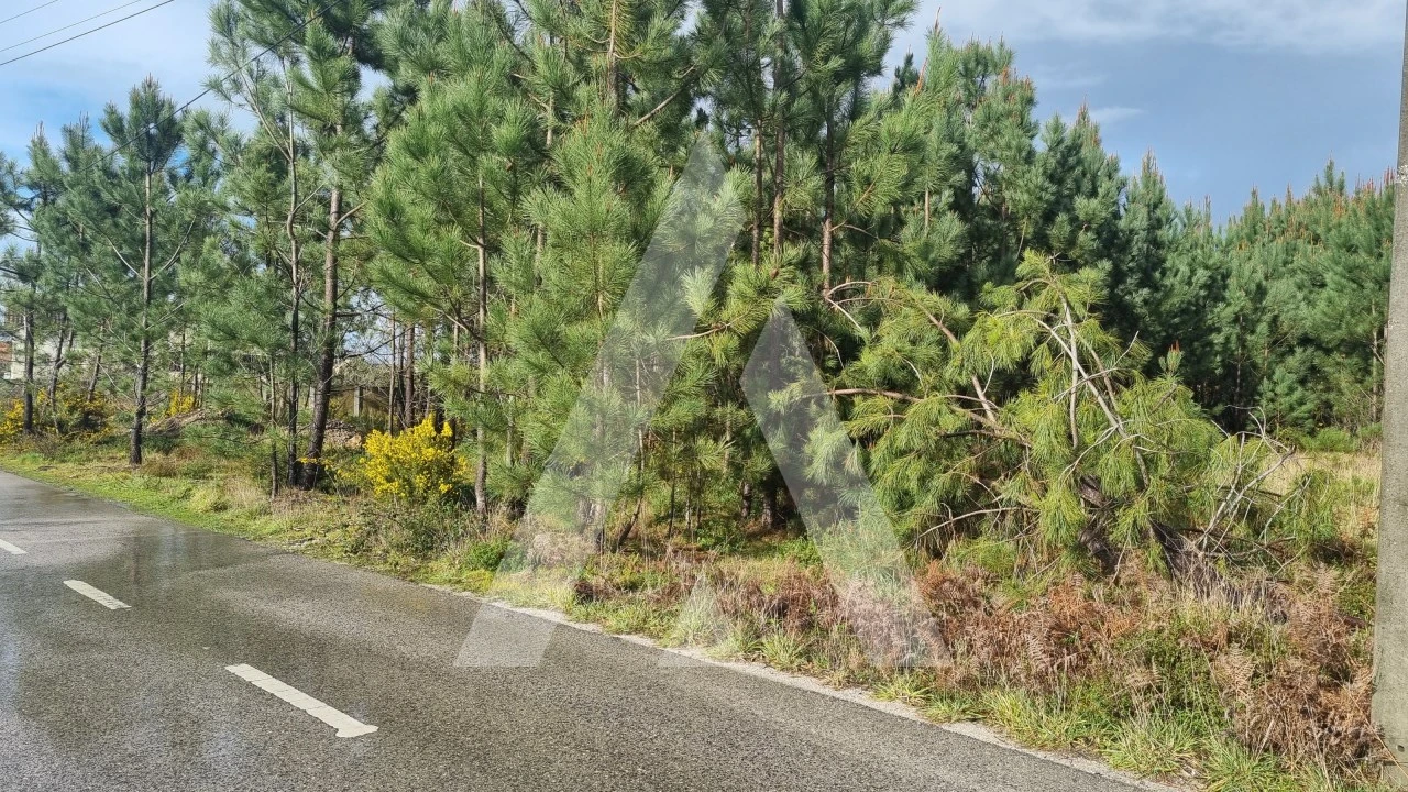 Terreno para Venda em Marinha Grande Foto 33