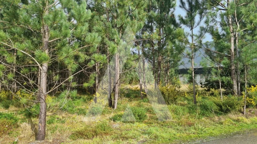 Terreno para Venda em Marinha Grande Foto 12