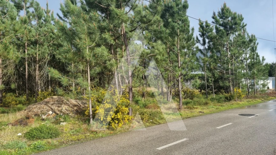 Terreno para Venda em Marinha Grande Foto 17