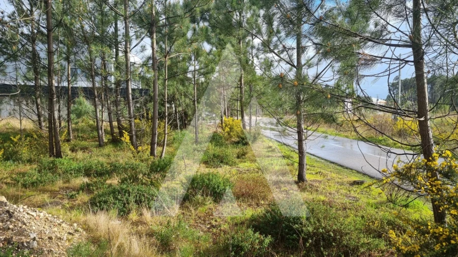 Terreno para Venda em Marinha Grande Foto 28