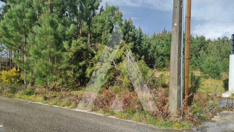Terreno para Venda em Marinha Grande Foto 32
