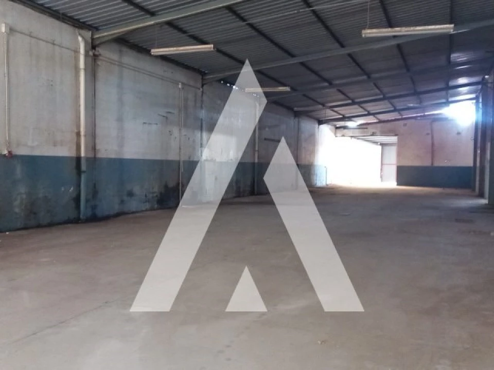 Armazém para Venda em Juncal Foto 10