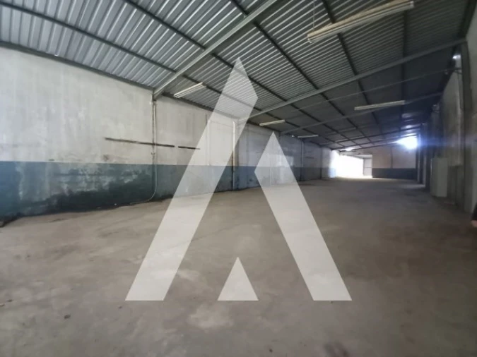 Armazém para Venda em Juncal Foto 6