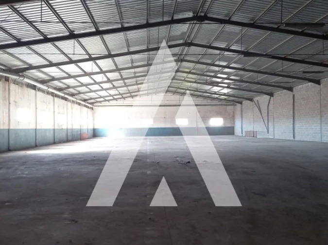 Armazém para Venda em Juncal Foto 9