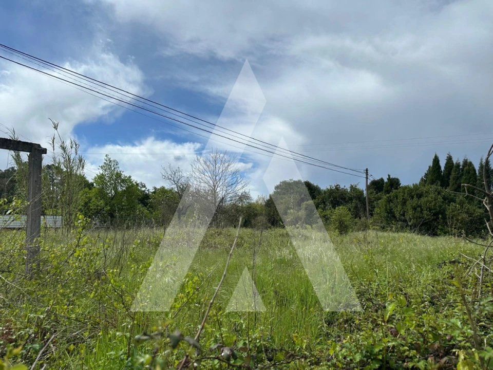 Terreno para Venda em Oliveira do Bairro Foto 7