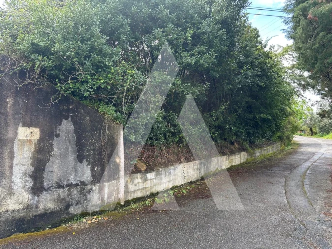 Terreno para Venda em Oliveira do Bairro Foto 5