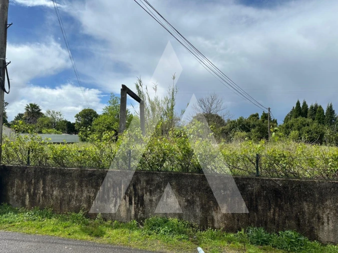 Terreno para Venda em Oliveira do Bairro Foto 6