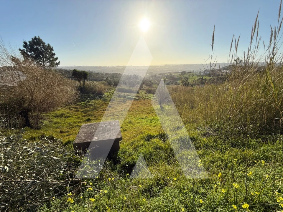 Terreno para Venda em Aljubarrota Foto 4