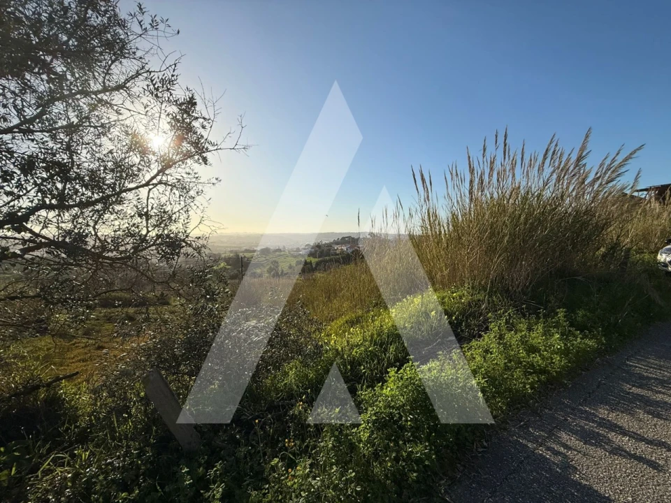 Terreno para Venda em Aljubarrota Foto 5