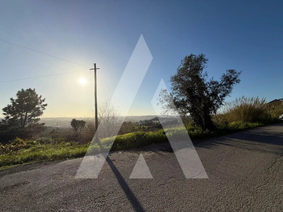 Terreno para Venda em Aljubarrota Foto 7