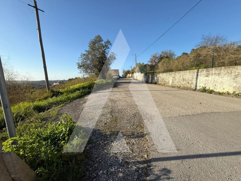 Terreno para Venda em Aljubarrota Foto 8