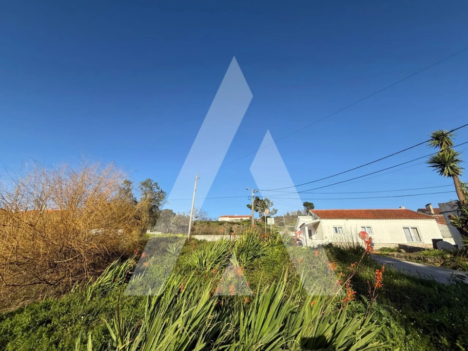 Terreno para Venda em Aljubarrota Foto 9