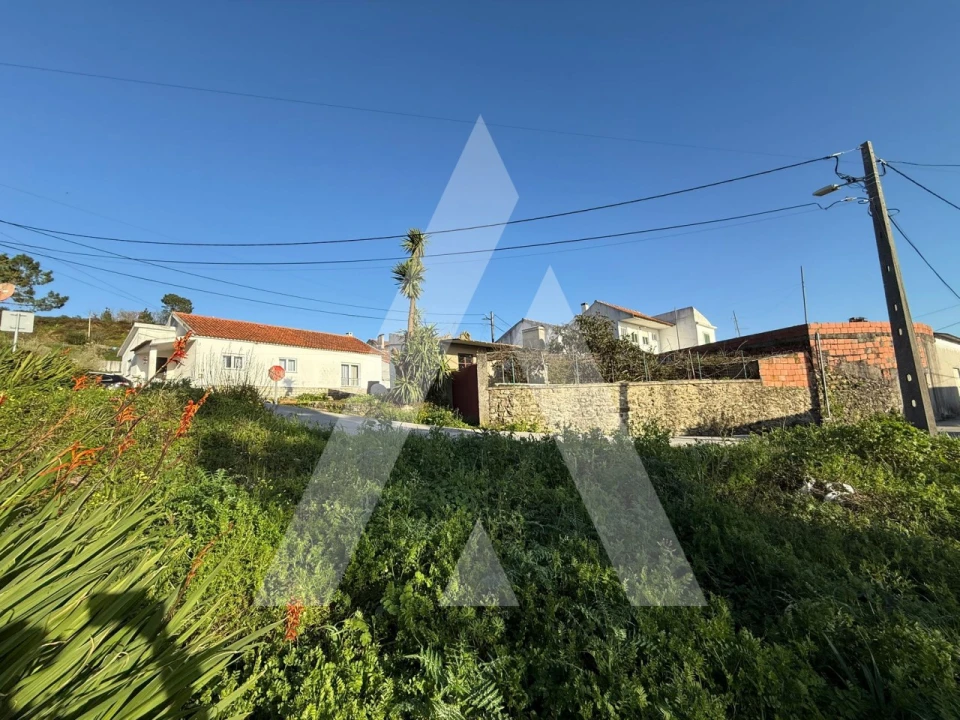 Terreno para Venda em Aljubarrota Foto 15