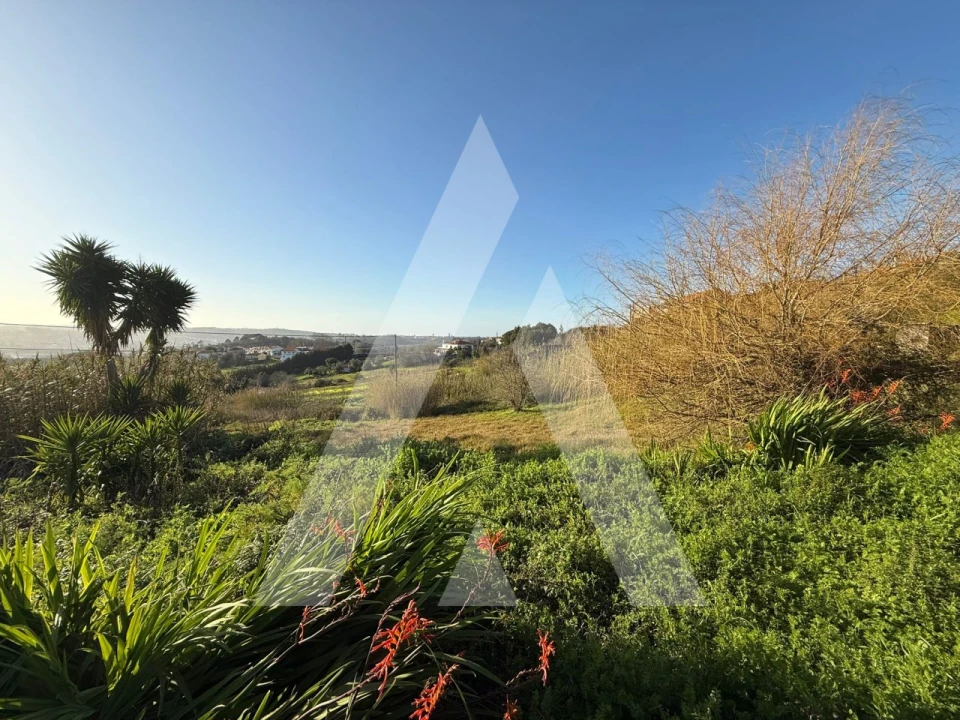 Terreno para Venda em Aljubarrota Foto 17