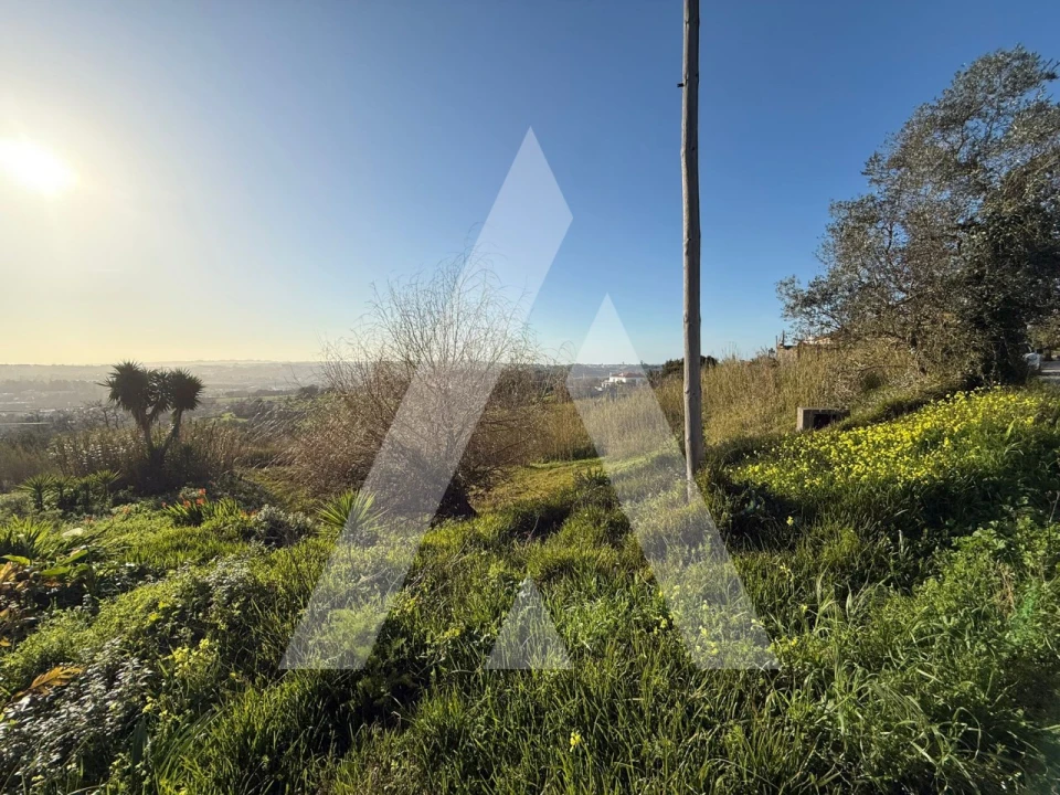 Terreno para Venda em Aljubarrota Foto 20