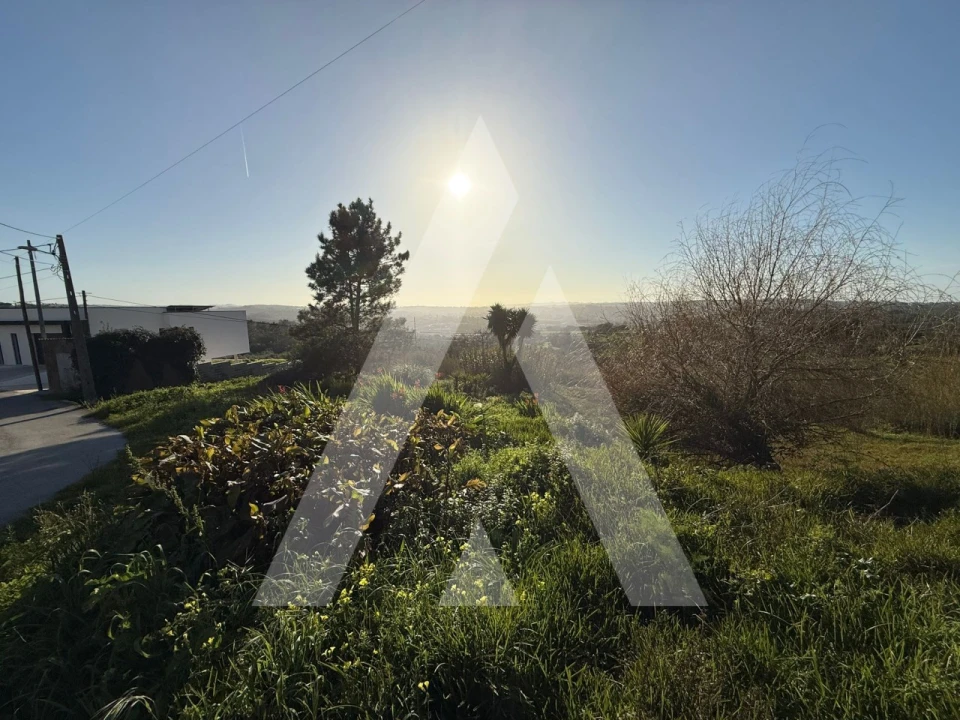 Terreno para Venda em Aljubarrota Foto 21