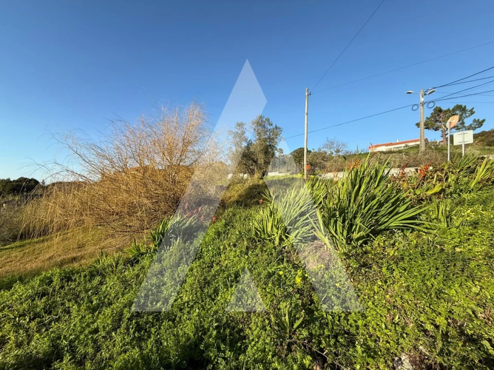 Terreno para Venda em Aljubarrota Foto 22