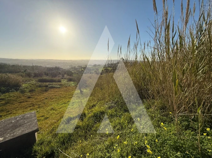 Terreno para Venda em Aljubarrota Foto 1