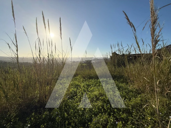 Terreno para Venda em Aljubarrota Foto 3