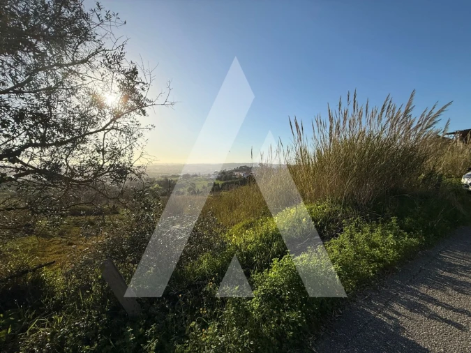 Terreno para Venda em Aljubarrota Foto 5