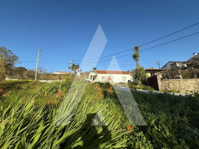 Terreno para Venda em Aljubarrota Foto 6