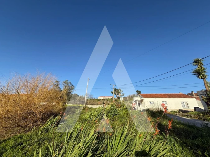 Terreno para Venda em Aljubarrota Foto 9