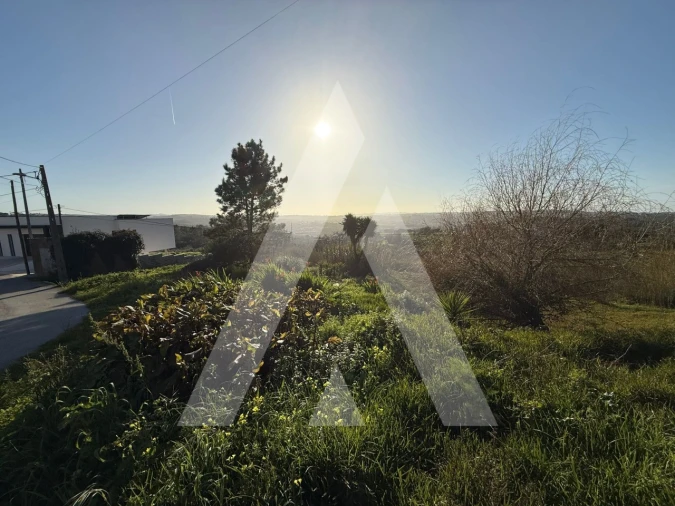 Terreno para Venda em Aljubarrota Foto 21