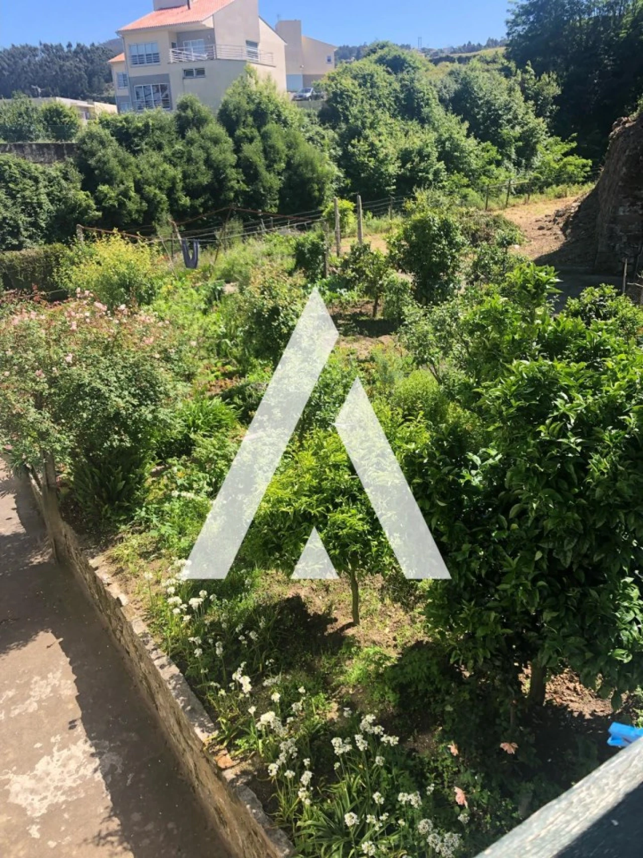 Prédio para Venda em Caminha (Matriz) e Vilarelho Foto 47