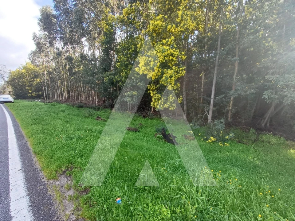 Terreno para Venda em Santa Comba Dão e Couto do Mosteiro Foto 1