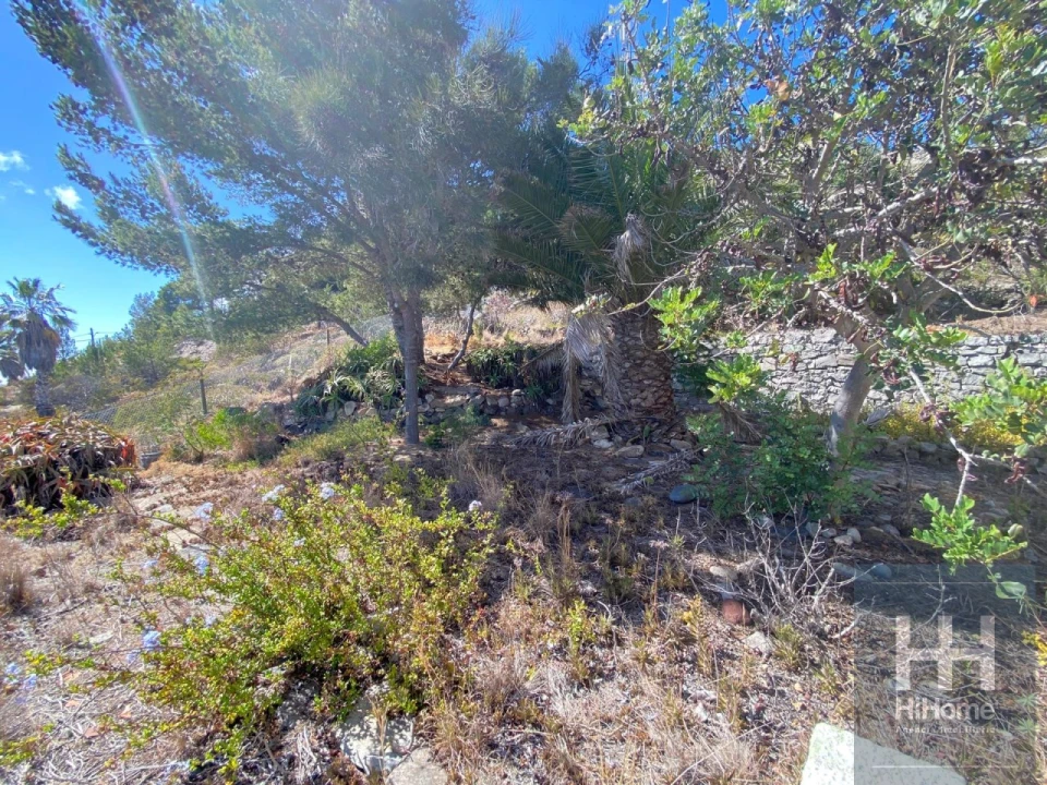 Moradia T2 para Venda em Porto Santo Foto 22