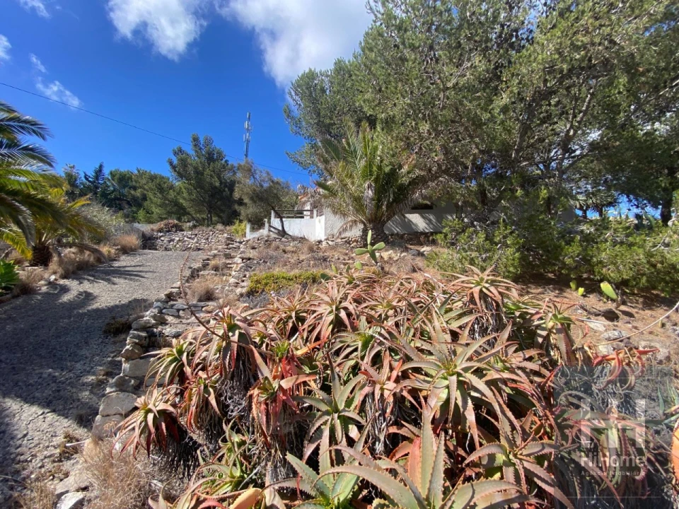 Moradia T2 para Venda em Porto Santo Foto 29