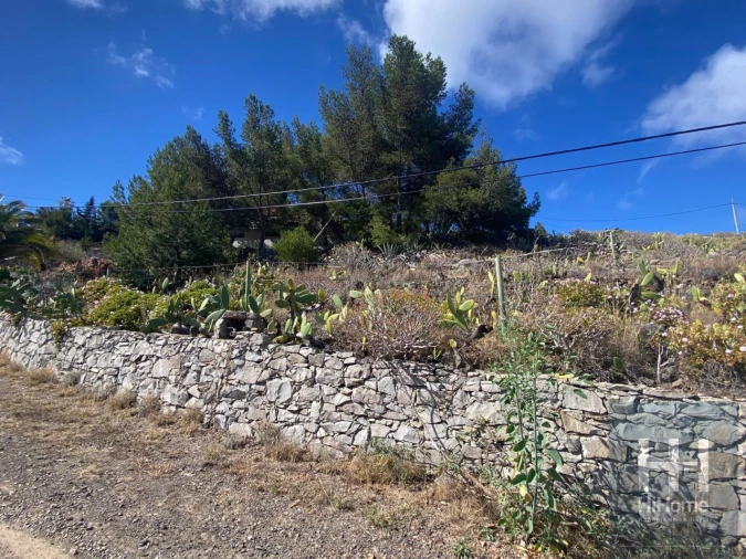 Moradia T2 para Venda em Porto Santo Foto 32