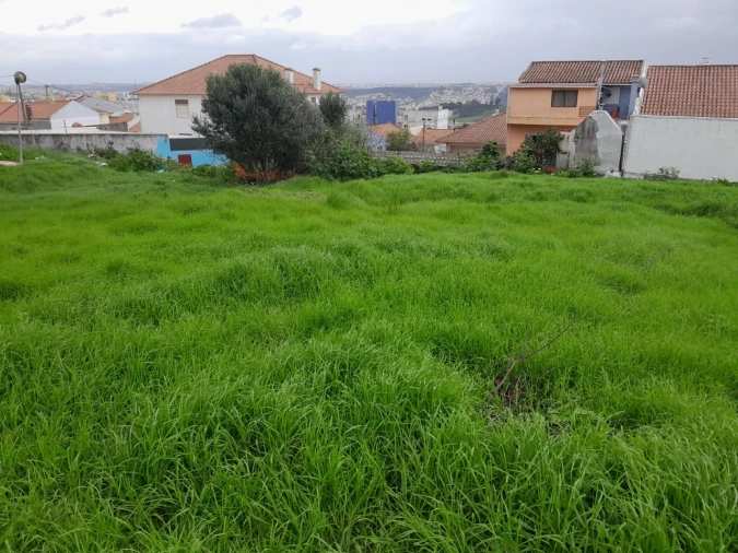 Terreno para Venda em Águas Livres Foto 4