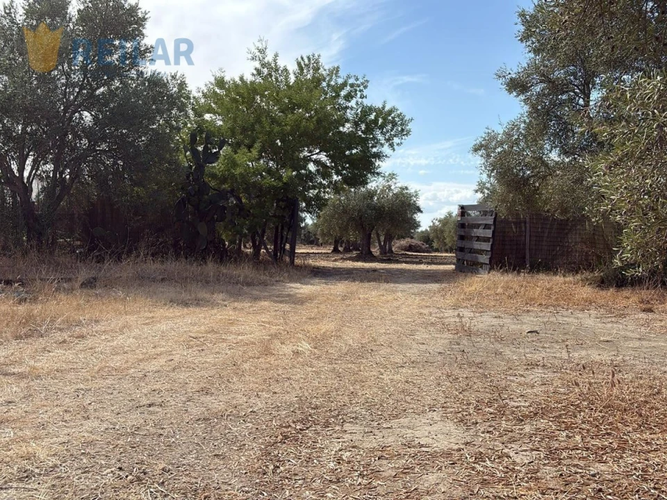 Quinta T2 para Venda em Monsaraz Foto 2