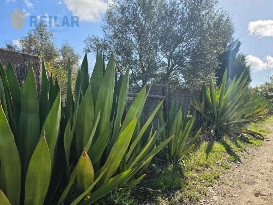 Quinta T2 para Venda em Monsaraz Foto 17