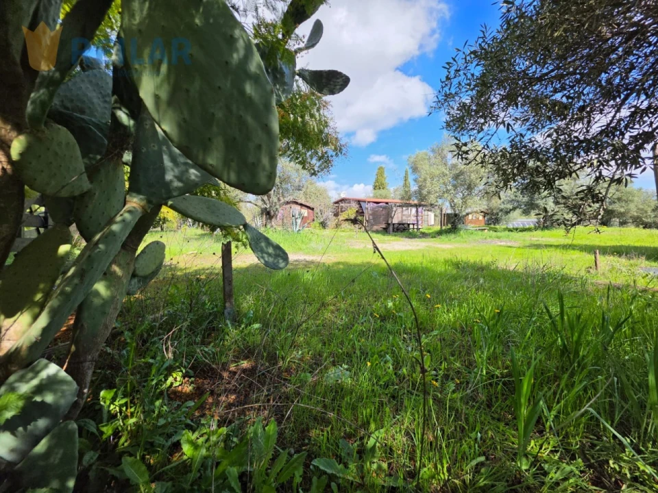 Quinta T2 para Venda em Monsaraz Foto 47