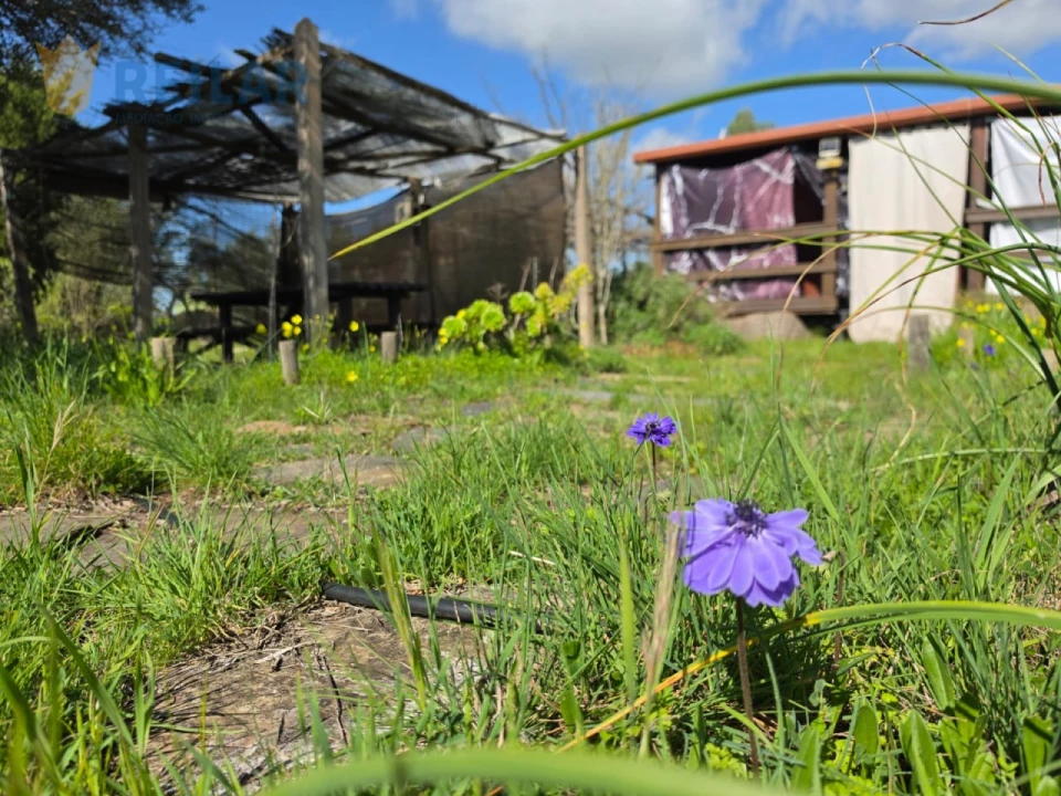 Quinta T2 para Venda em Monsaraz Foto 50