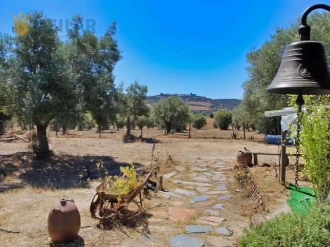 Quinta T2 para Venda em Monsaraz Foto 16