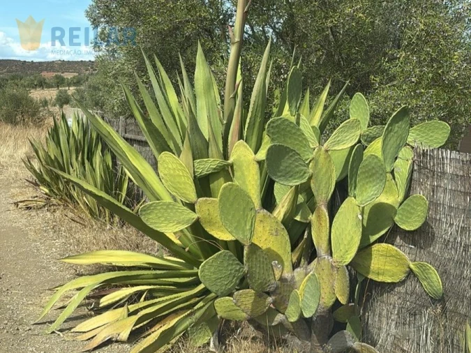 Quinta T2 para Venda em Monsaraz Foto 24